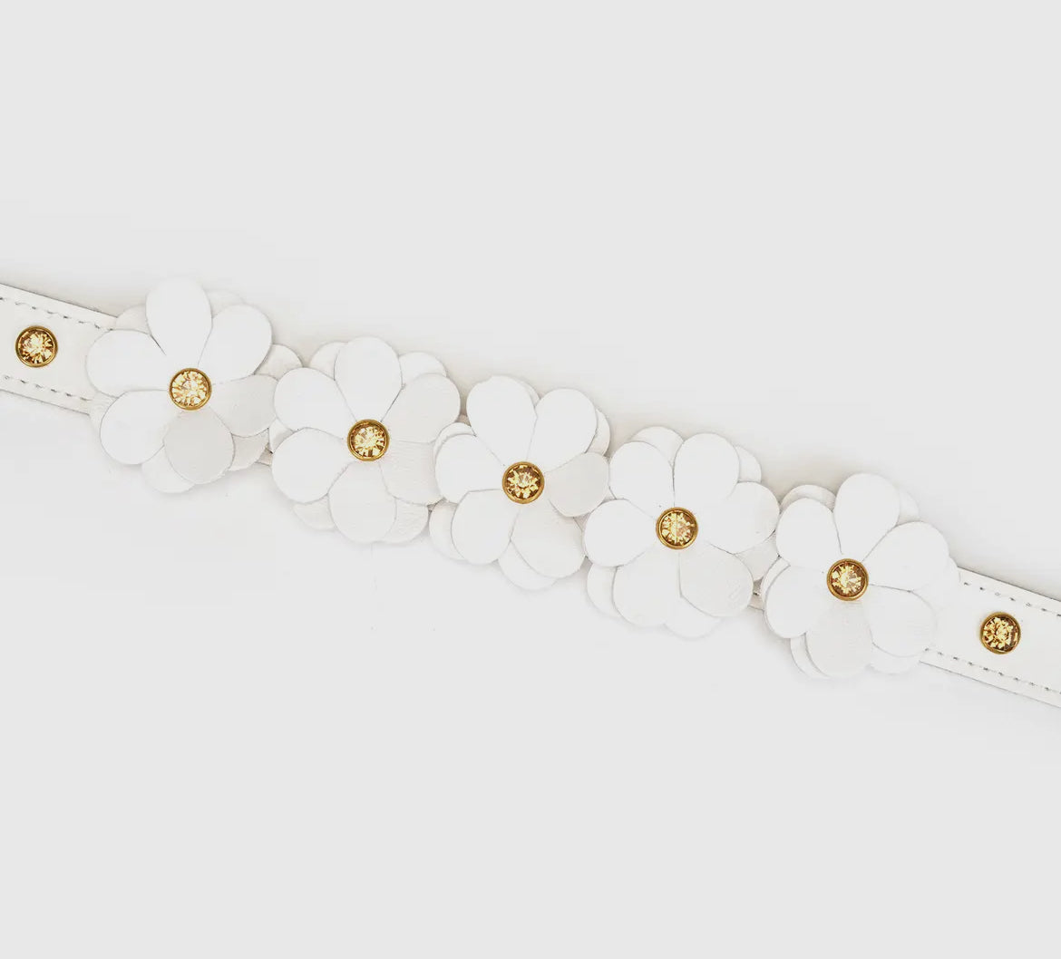 Weißes Lederhalsband mit Blumen und Leine